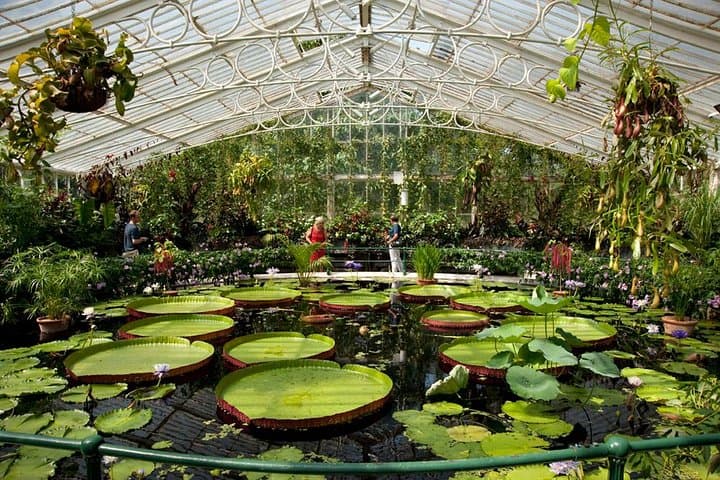 kew-gardens-london-royal-botanic-gardens-entrance-ticket photo 4
