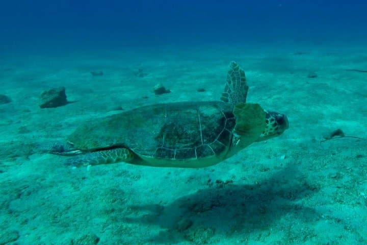 Private Kekova Boat Tour to the Sunken City — Full-Day from Antalya photo 2
