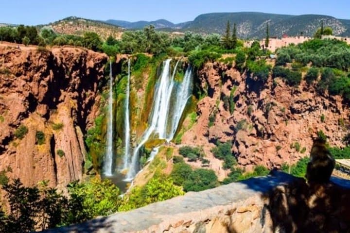 Ouzoud Waterfalls Day Trip from Marrakech: Private 8‑Hour Excursion to Morocco's Highest Cascades photo 3