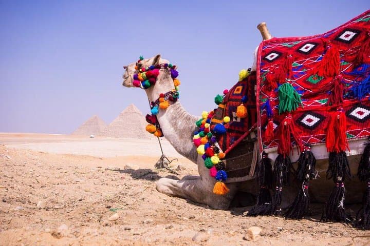 4-Day Cairo City Break: Pyramids, Saqqara & Nile Dinner Cruise photo 3