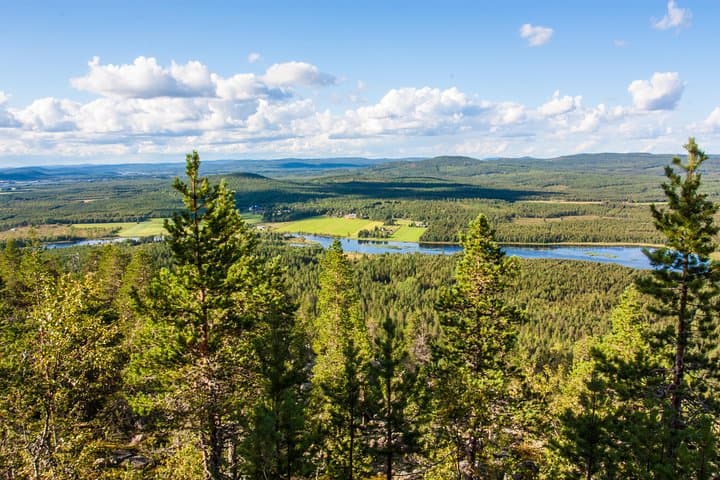 Aavasaksa Viewpoint: Hike the Struve Arc Where Finland Meets Sweden