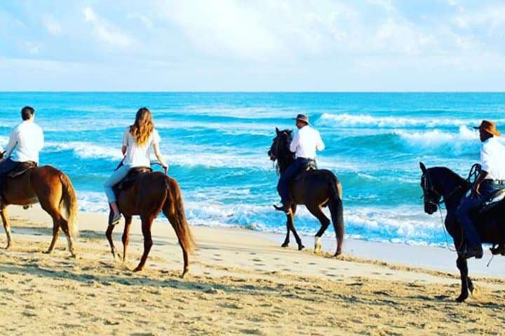 Punta Cana Beach Horseback Riding — Gallop Along Maimon River and Palm-Fringed Shore photo 2
