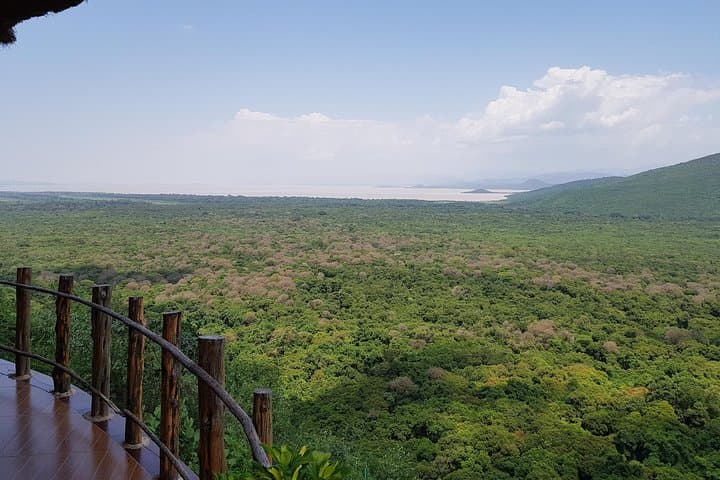 2-Day Ethiopian Rift Valley Lakes Tour from Addis Ababa photo 5