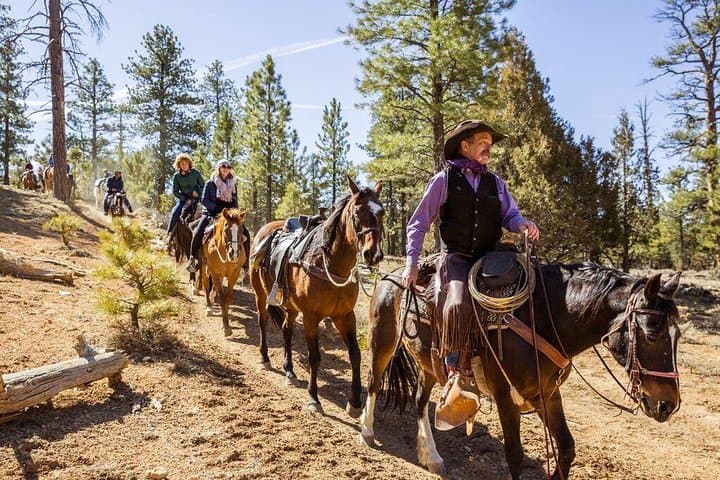 Ride Thunder Mountain: 4-Hour Horseback Adventure from Ruby's Inn, Utah