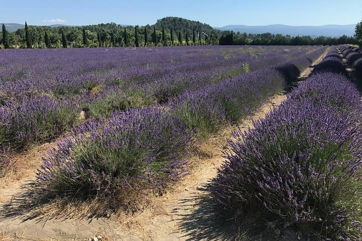 Luberon Hilltop Villages Private Day Tour from Avignon