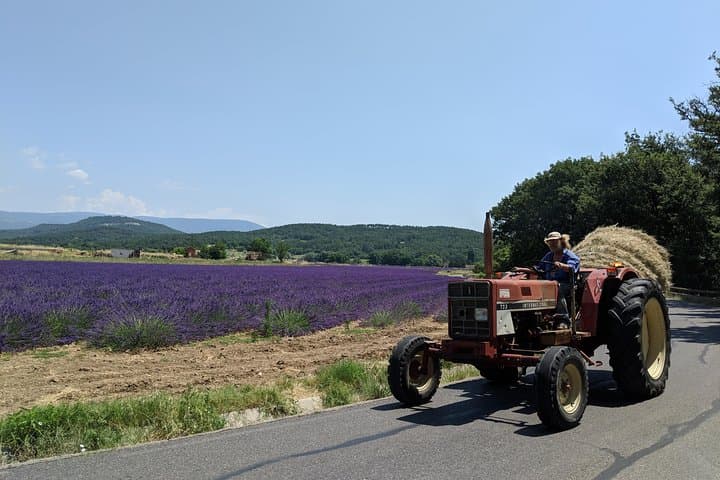 Luberon Hilltop Villages Private Day Tour from Avignon photo 6