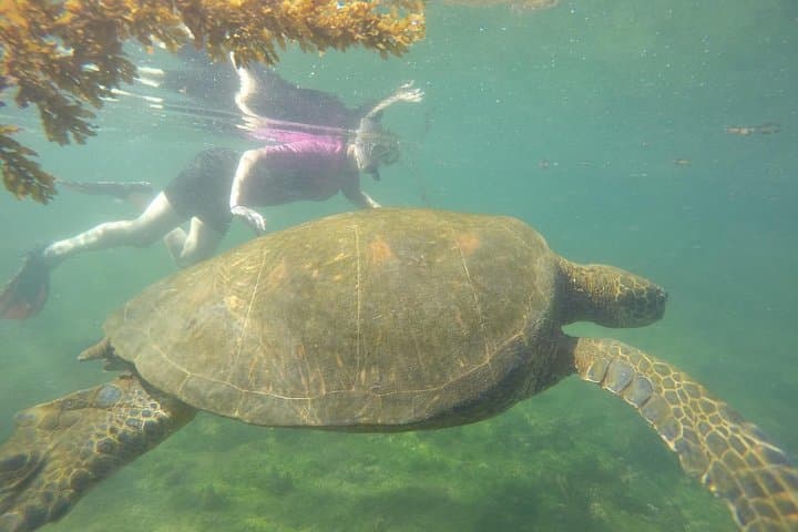 San Cristobal in Five Days: Kicker Rock, Lobos Island & The Highlands photo 2