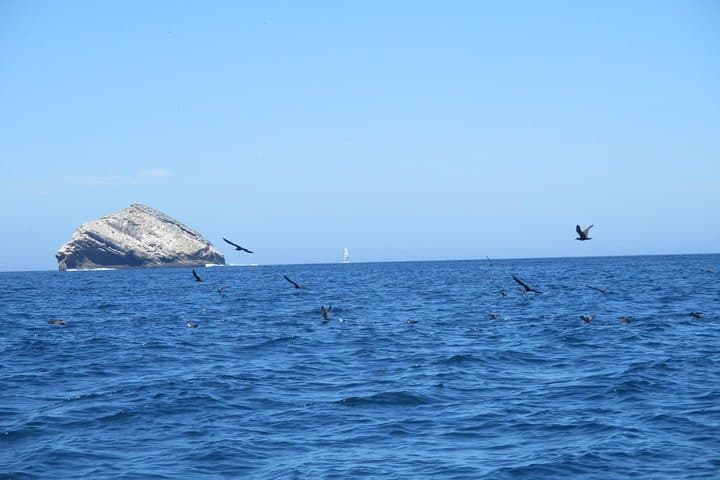 San Cristobal in Five Days: Kicker Rock, Lobos Island & The Highlands photo 4