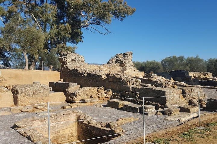 Private Day Trip to Sparta from Kalamata: Acropolis, Taygetos Pass, and Olive-Oil Traditions photo 5