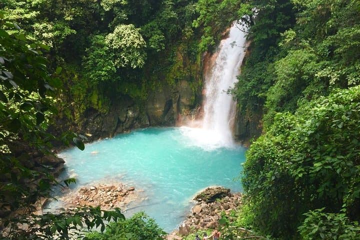 Private Rio Celeste National Park Tour & Nature Walk from Bijagua