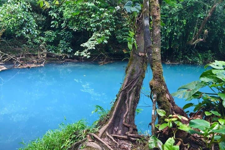 Private Rio Celeste National Park Tour & Nature Walk from Bijagua photo 3