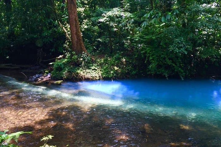 Private Rio Celeste National Park Tour & Nature Walk from Bijagua photo 4