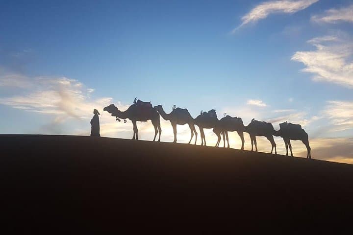 Overnight in Merzouga Desert — Upgraded Erg Chebbi Camp & Camel Experience photo 2