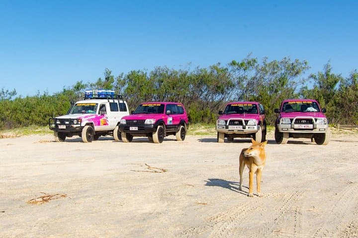 K’gari by Pink 4WD: 3-Day Tagalong Adventure on Fraser Island photo 3