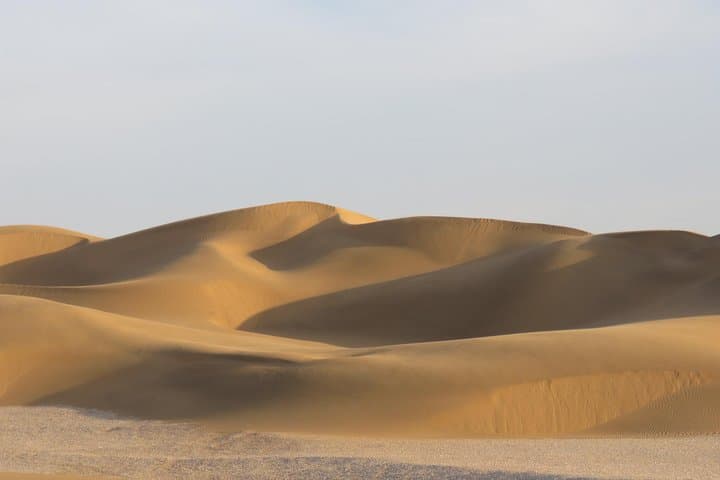 Sandwich Harbour 4x4 Dune and Lagoon Tour from Walvis Bay photo 5