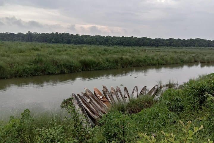 3-Day Chitwan Jungle Safari from Kathmandu — Rhinos, Rivers & Tharu Culture photo 6