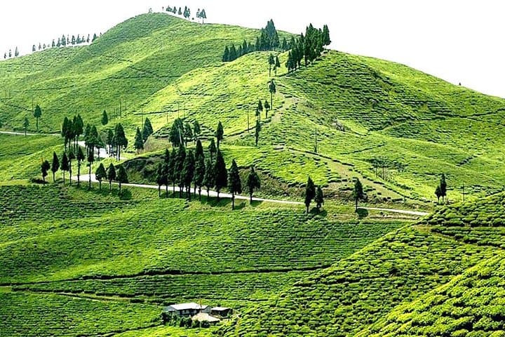 3-Day Ilam Tea Garden Escape: Antu Danda Sunrise & Mai Pokhari from Kathmandu photo 2