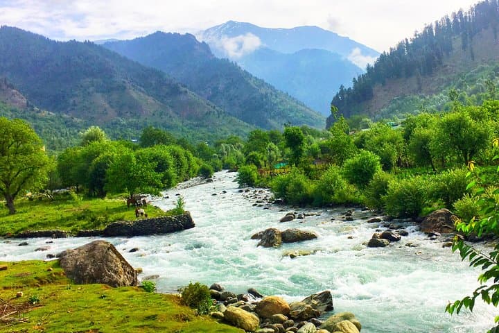 5-Day Kashmir Tour: Houseboat Shikara, Gulmarg Gondola & Pahalgam Valleys photo 6