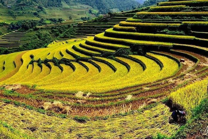 Overnight Sapa Trek from Hanoi: 2-Day Luxury Van Adventure to Cat Cat & Ta Van photo 4