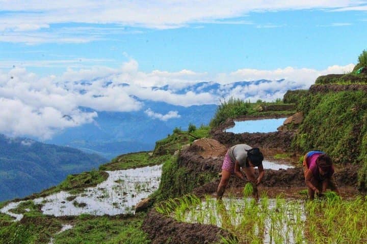 3-Day Ghale Gaun Homestay: Authentic Gurung Village Stay from Kathmandu photo 2