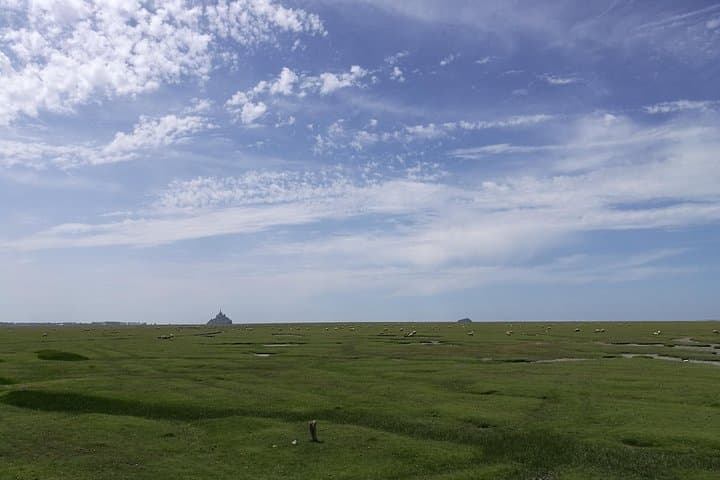 Private Day Trip to Mont-Saint-Michel from Saint-Malo in a Mercedes V-Class photo 4