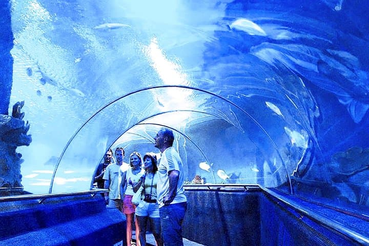 Explore Nha Trang City and Unwind in a Relaxing Spa Adventure photo 4
