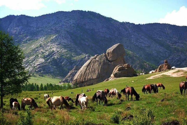 Terelj National Park & Chinggis Khaan Statue: Full-Day Adventure from Ulaanbaatar photo 2