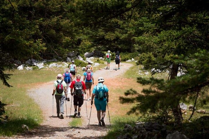 Summit Kalathi: Hiking Above Kalamata for Messinian Gulf Views photo 3