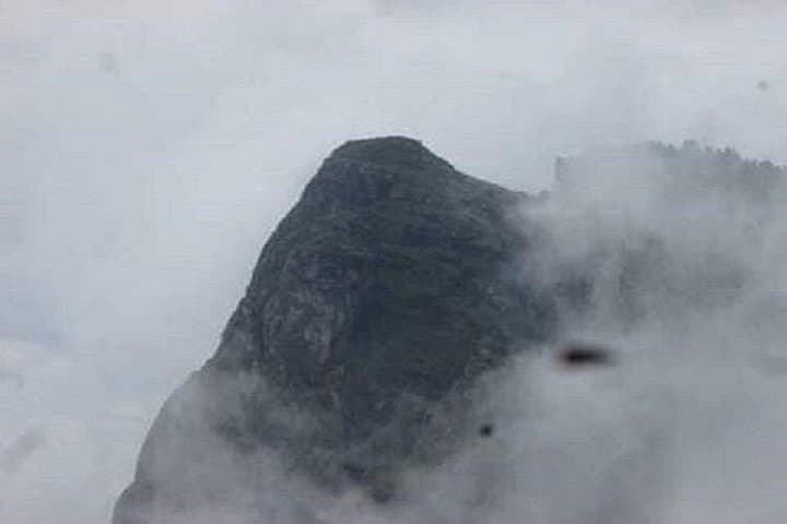 Amani Nature Reserve: 2-Day Birding & Forest Walks in East Usambara, Tanzania photo 2