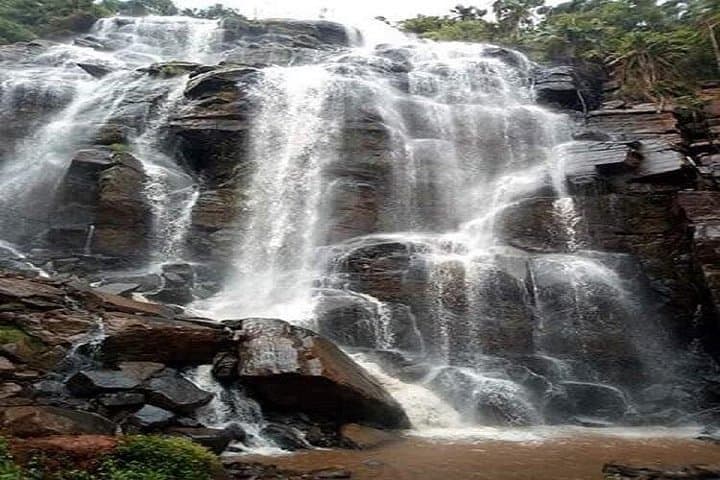 Amani Nature Reserve: 2-Day Birding & Forest Walks in East Usambara, Tanzania photo 3
