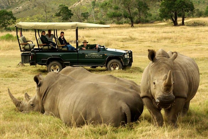 3-Day Private Garden Route Tour: Oudtshoorn Caves, Wilderness Canoe & 4x4 Safari