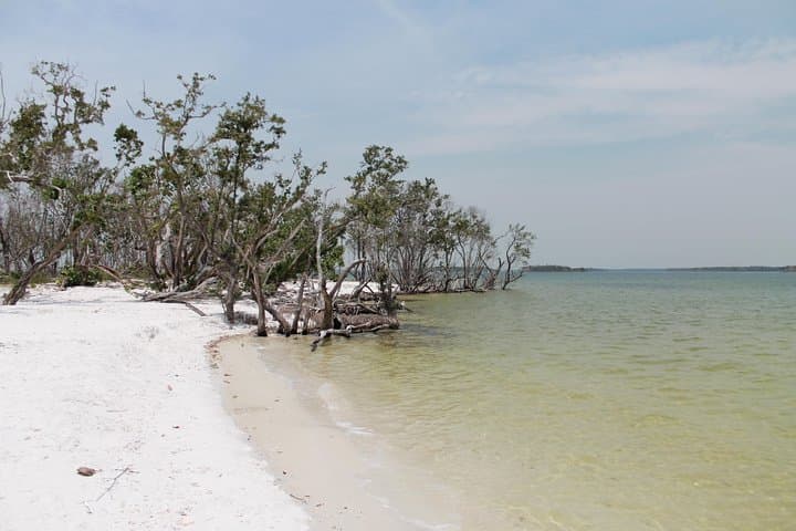 Exploring the Everglades: Small Group Motorboat Eco Tour Adventure photo 4