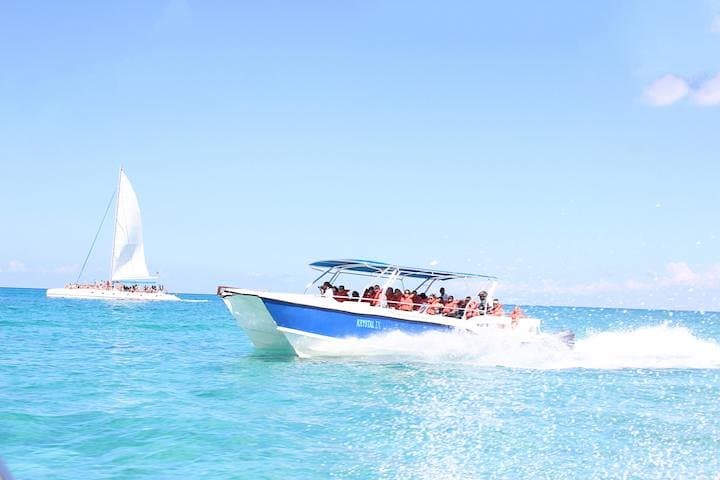 Saona Island Day Trip from Bayahibe: Natural Pools, Beaches & Catamaran Ride photo 3