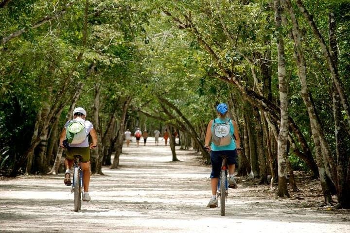 Coba Extreme: ATV, Zipline & Cenote Adventure from Cancun photo 5