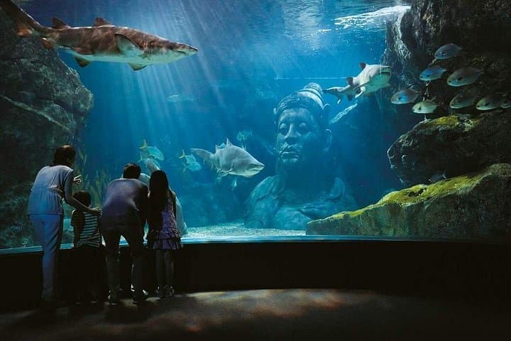 Sea Life Bangkok & Madame Tussauds Combo: Aquarium Tunnel and Wax Museum in Central Bangkok photo 4