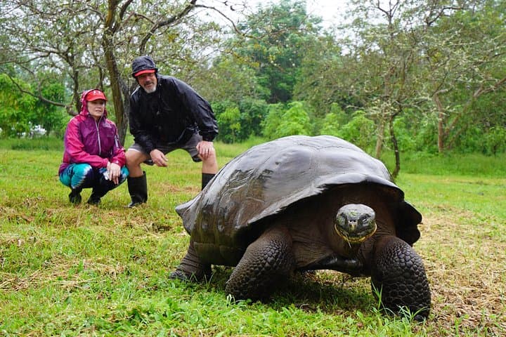 7-Day Galapagos Essentials: Wildlife, Snorkeling & Highlands