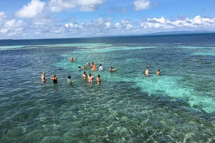 Whale Watching from Punta Cana to Samaná: Half-Day Tour to Bacardi Island & El Limón photo 3
