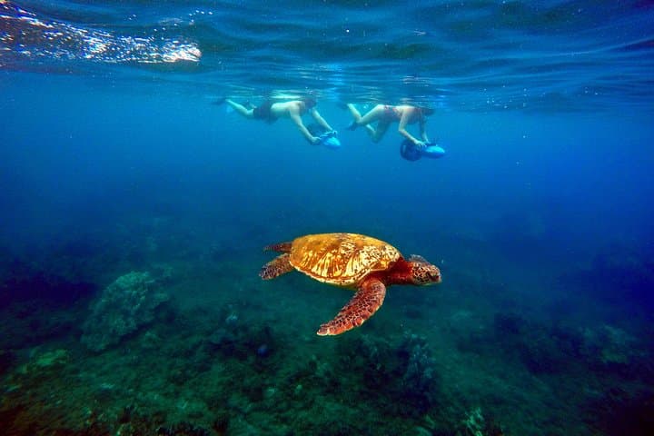 Sea Scooter Snorkeling at Wailea Beach: Guided Makena Bay Reef Adventure photo 2