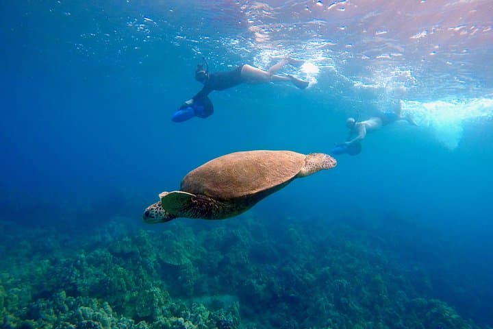 Sea Scooter Snorkeling at Wailea Beach: Guided Makena Bay Reef Adventure photo 3