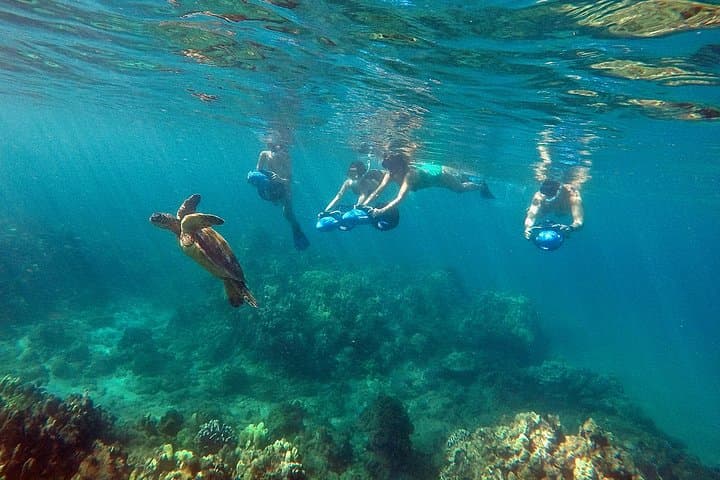 Sea Scooter Snorkeling at Wailea Beach: Guided Makena Bay Reef Adventure photo 4