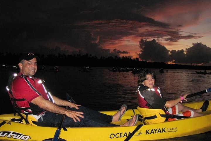Fajardo Bio Bay Kayak Tour: Night Paddle Through Laguna Grande's Glowing Waters photo 3