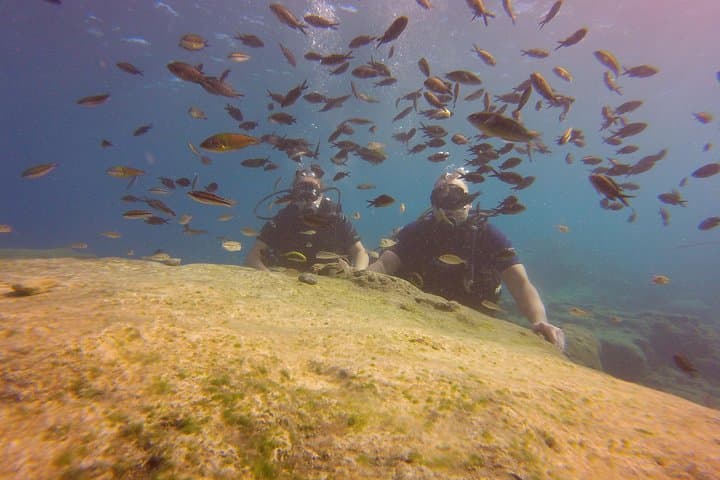 Discover Scuba Diving in Ayia Napa: Beginner Dives, Turtle Sightings & Statue Garden photo 2