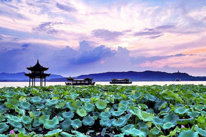 Half-Day Private Hangzhou Highlights: West Lake, Lingyin & Longjing Tea Fields