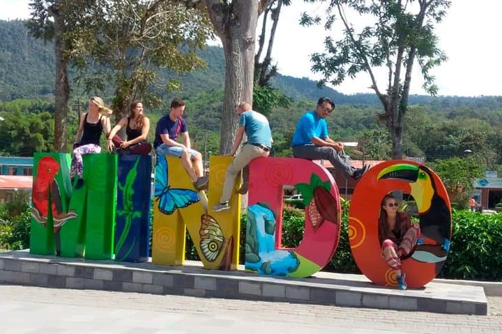 Mindo Cloud-Forest Canopy and Birding: Full-Day Tour from Quito photo 4