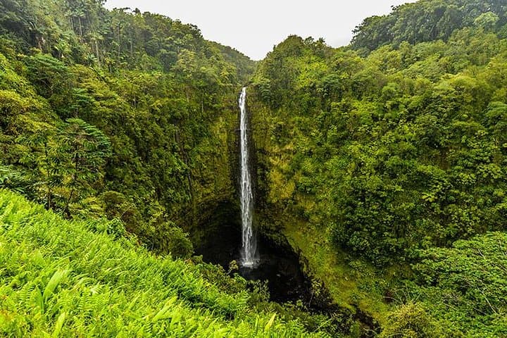 Private Road to Hana Jeep Tour and Waterfall Hikes — Maui Half-Day Adventure photo 3