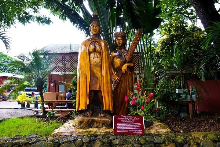Oahu Circle Island Tour — Full-Day Highlights from Honolulu photo 5