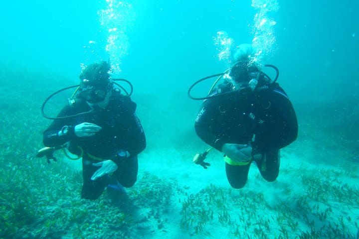 Discover Scuba Diving in the Maddalena Archipelago — Beginner Dives in Sardinia