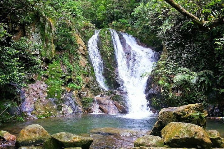 Tai Mo Shan Waterfall Hike — Ng Tung Chai Falls Guided Adventure photo 4