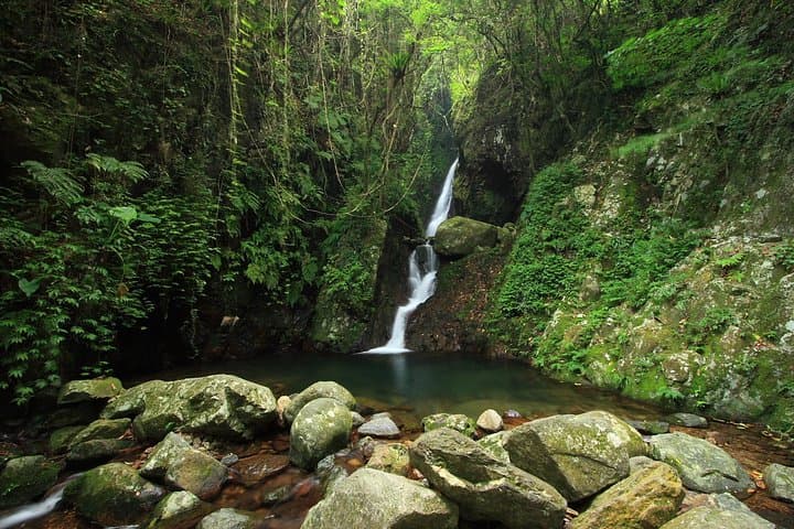 Tai Mo Shan Waterfall Hike — Ng Tung Chai Falls Guided Adventure photo 5