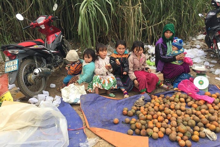 Five-Day Northern Vietnam Private Tour from Hanoi — Ba Be, Ban Gioc & Dong Van photo 4